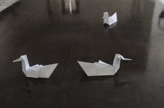 Deviant art duck separ divorce